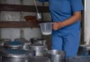 സോപ്പ് പൊടി ഉപയോഗിച്ച് വ്യാജ പാൽ നിർമ്മാണം. വന്‍ തോതിൽ വ്യാജപ്പാല്‍ വിപണിയില്‍