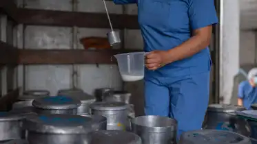 സോപ്പ് പൊടി ഉപയോഗിച്ച് വ്യാജ പാൽ നിർമ്മാണം. വന്‍ തോതിൽ വ്യാജപ്പാല്‍ വിപണിയില്‍