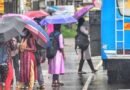 പിഞ്ചു കുഞ്ഞുങ്ങളുടെ ജീവൻ&nbsp; വച്ചു പന്താടിയ ദിനം.