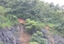 മണ്ണിടിച്ചില്‍ ഭീഷണി. കുതിരാന്‍ തുരങ്കത്തിന് മുന്നില്‍ ഗതാഗത നിയന്ത്രണം