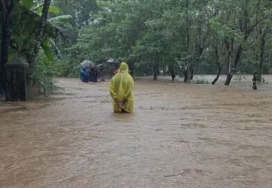 മഴ കനത്തു