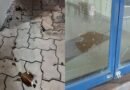 പാര്‍ട്ടി ഓഫീസുകളുടെ സുരക്ഷ വര്‍ധിപ്പിച്ച് സിപിഎം