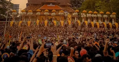 തൃശ്ശൂർ പൂരം റിപ്പോർട്ട്‌.പുനരന്വേഷണം ആവശ്യപ്പെട്ട് തിരുവമ്പാടി ദേവസ്വം.